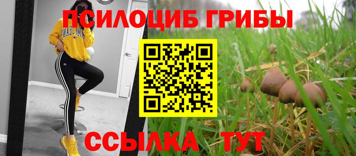 Купить закладку  Ипатово  Марихуана  МЕФ кристаллы  Вход с VPN  ГАШИШ  ГАШ  MDMA 